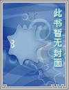 圣痕骑士炼